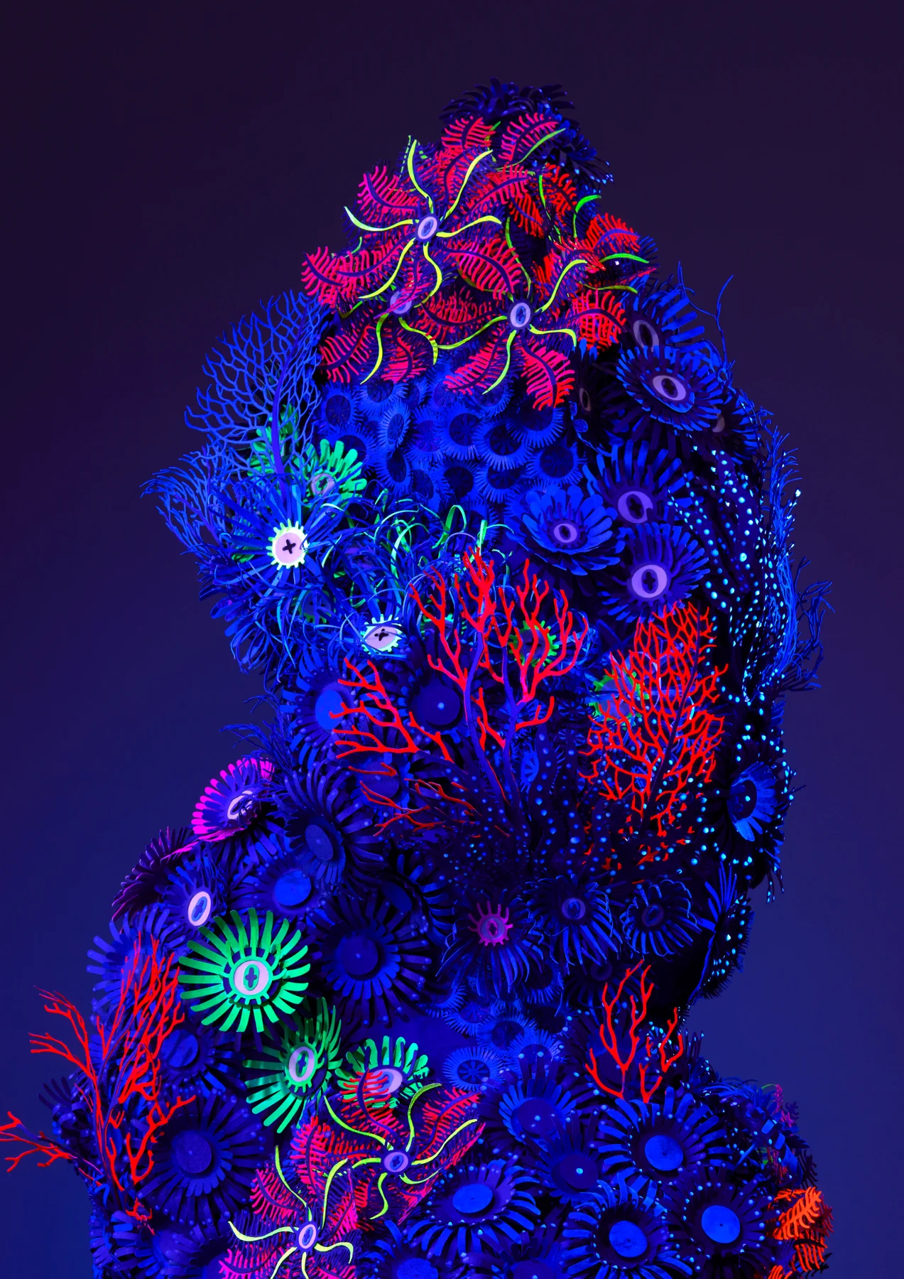 Monstrus — Corals